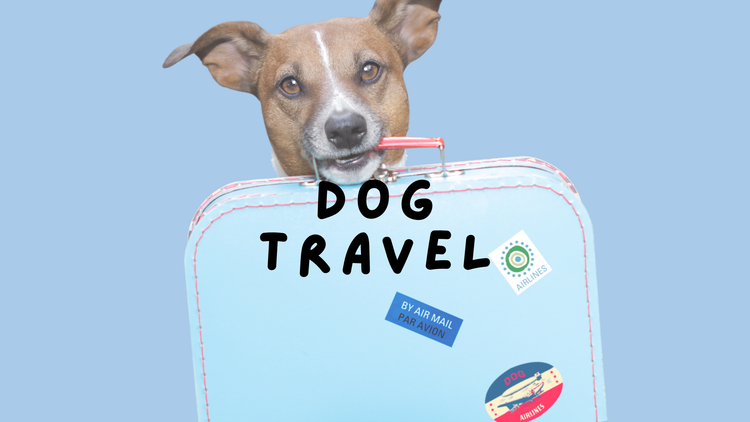 Dog Travel