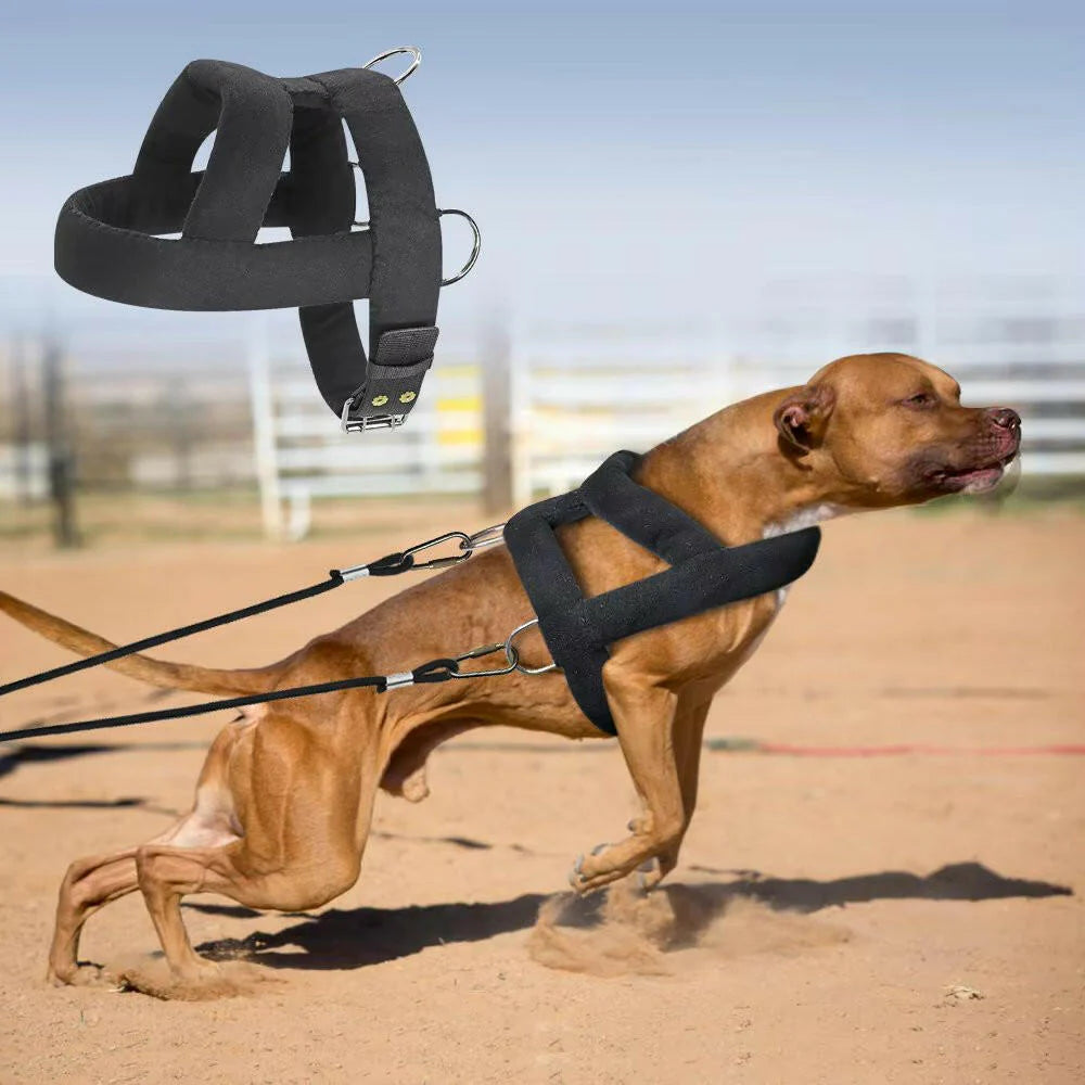 Heavy-Duty Dog Weight Pulling Harness with Padded Comfort for Strength Training 5
