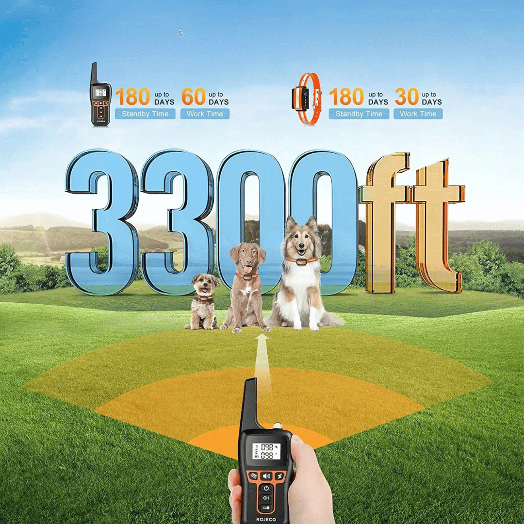 1000m e-Collar for Dog Training with Remote 3