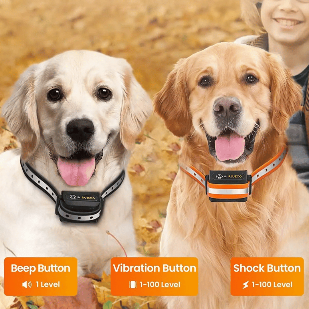 1000m e-Collar for Dog Training with Remote 4