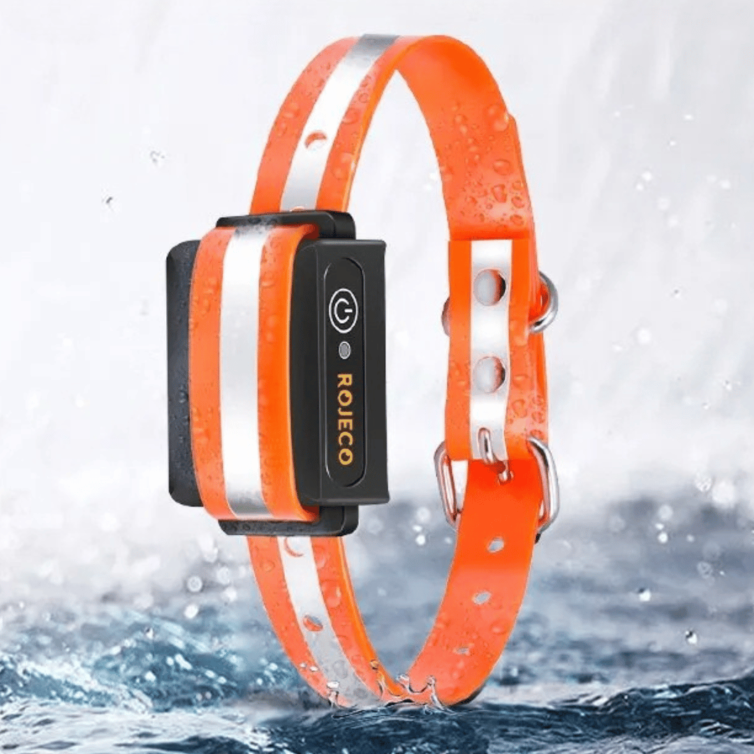 1000m e-Collar for Dog Training with Remote 6