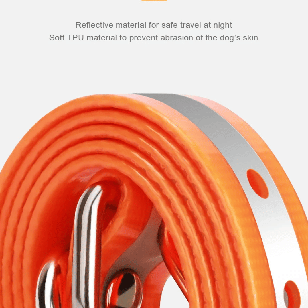 1000m e-Collar for Dog Training with Remote 7