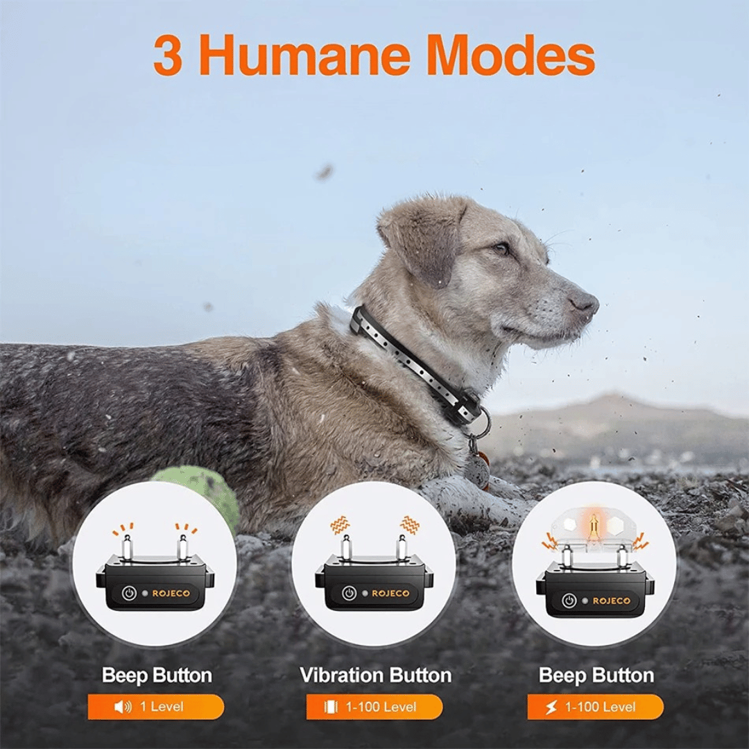 1000m e-Collar for Dog Training with Remote 8