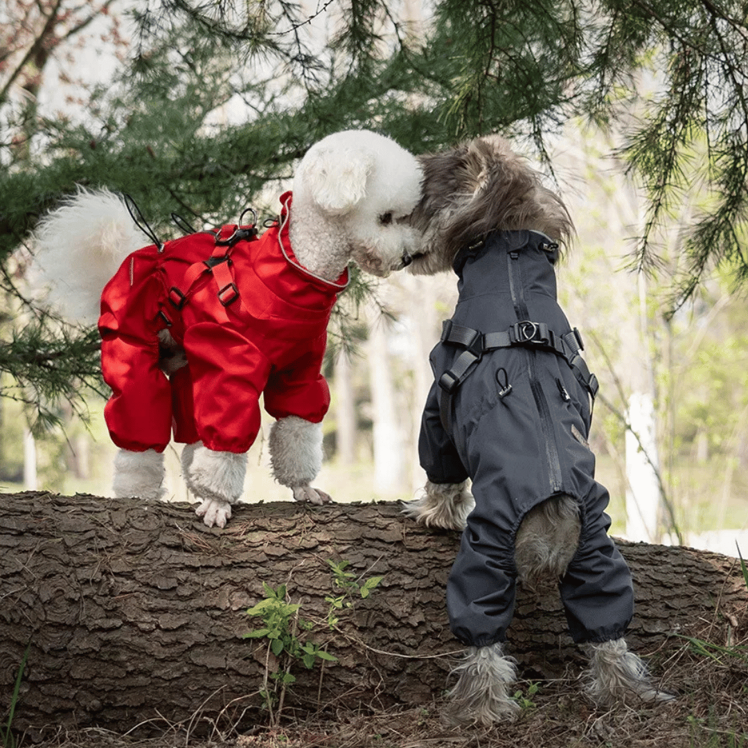 Waterproof Dog Jacket Jumpsuit with Built-In Harness