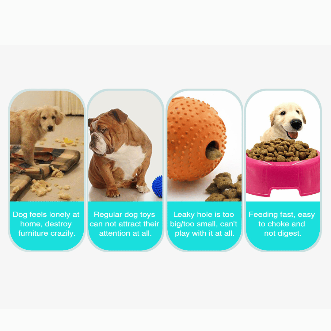 Interactive Dog Treat Ball Toy for Slow Feeding of Biscuits & Food