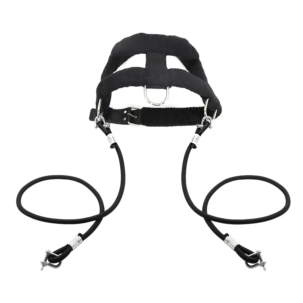 Heavy-Duty Dog Weight Pulling Harness with Padded Comfort for Strength Training 14