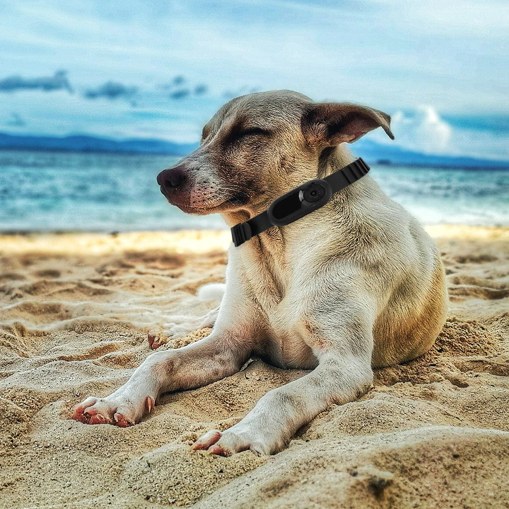 Adventure View HD 1080P Pet Collar Camera | 160° Wide-Angle Recording for Cats & Dogs 7