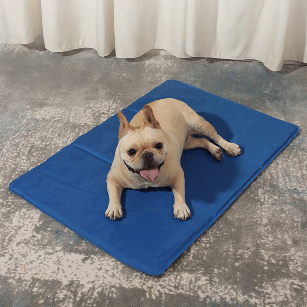 Gel-Filled Dog Cooling Mat | Water-Resistant PVC Pet Cool Pad 7