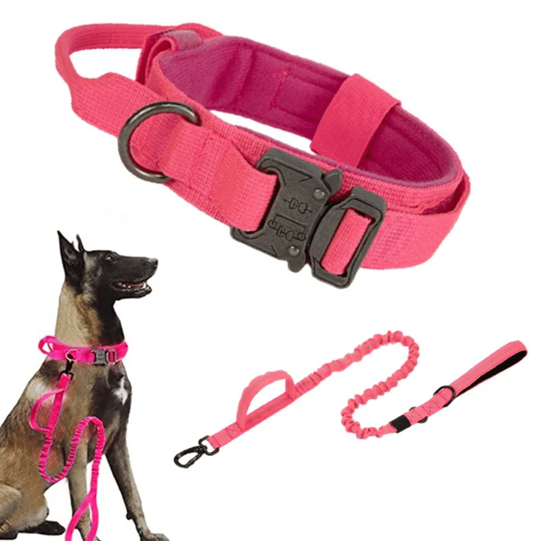 Heavy Duty Military-Style Tactical Dog Collar & Leash for Large & XL Dogs 7