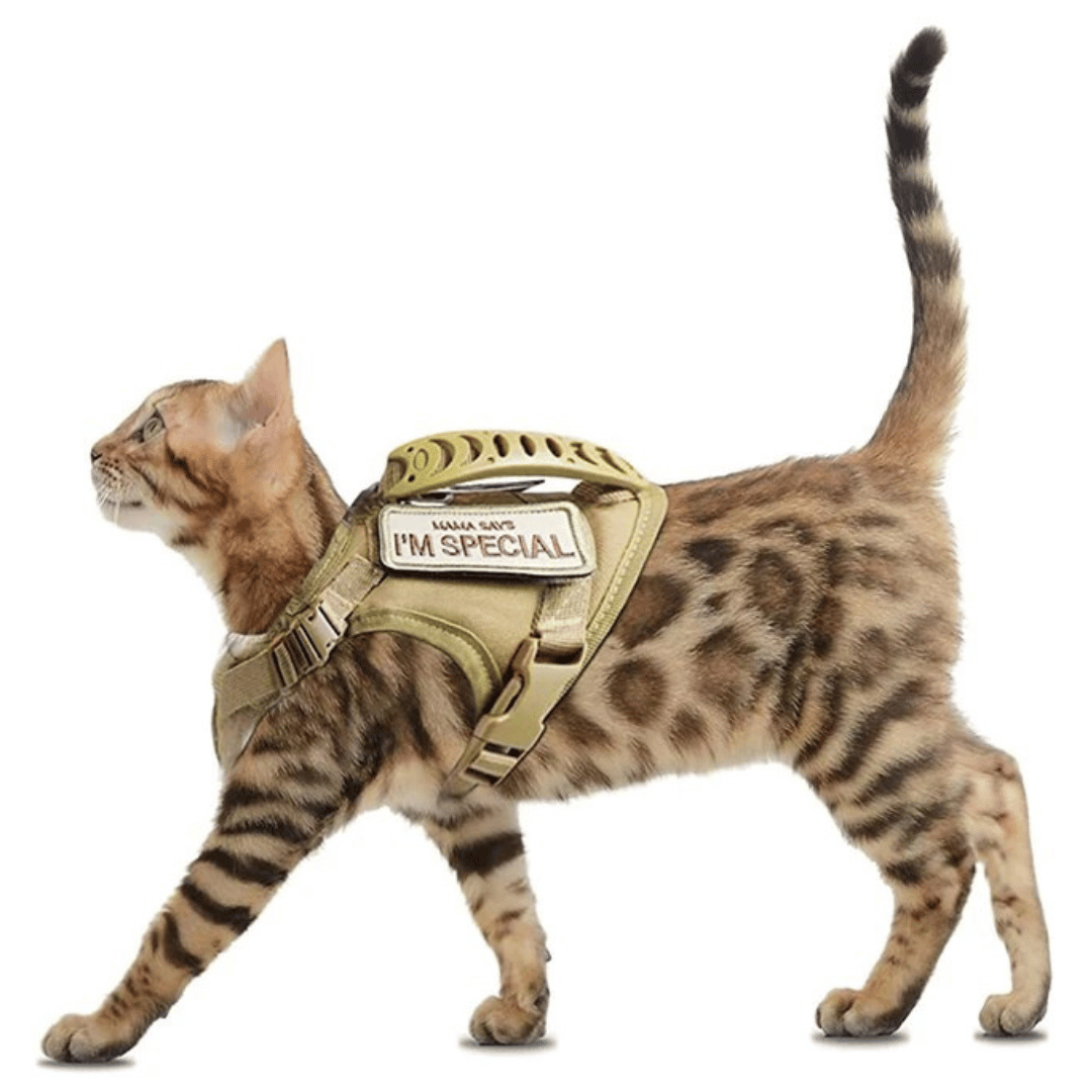 Military-Style Tactical Cat Harness & Leash 5
