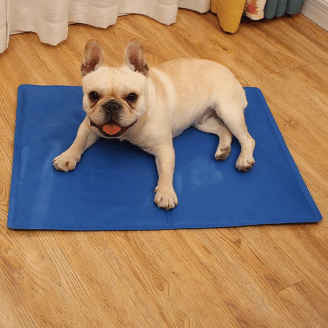 Gel-Filled Dog Cooling Mat | Water-Resistant PVC Pet Cool Pad 5