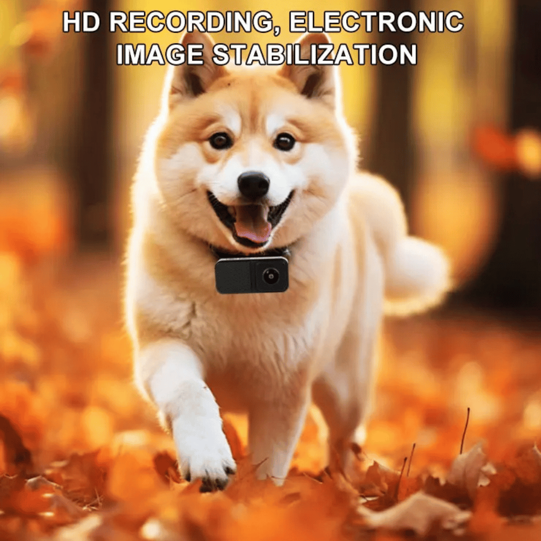 Pet Collar Camera with 160° Wide-Angle Lens | Full HD 1080P Video for Dogs & Cats 7