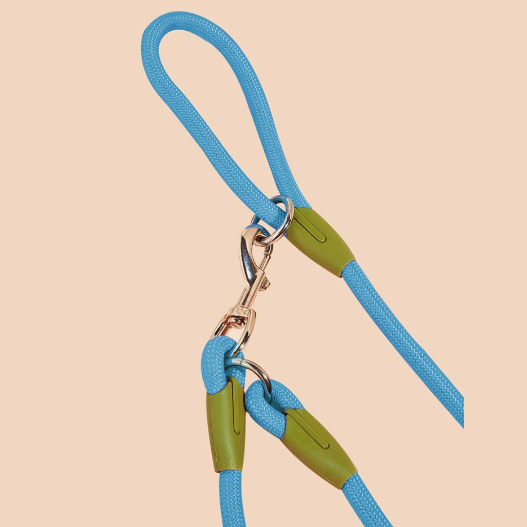 Hands-Free Dog Leash with Sturdy & Reflective Rope | Dog Leash for Running & Large Dogs 15