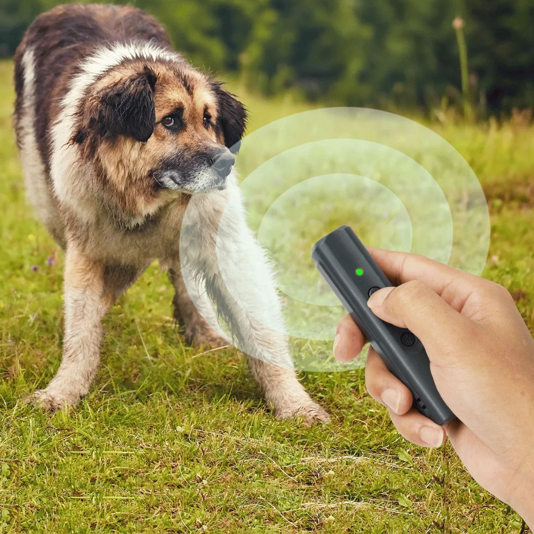 Slimline Ultrasonic Dog Bark Controller with Light & Buzzer | USB Rechargeable 6
