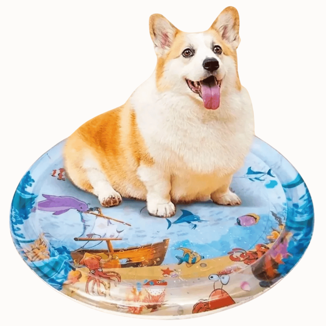 Inflatable & Fillable Sensory Pet Water Bed Cushion 3