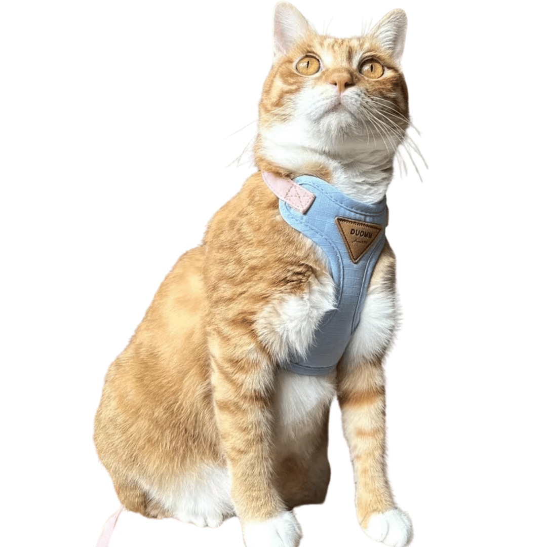 Comfort Kitty Cat Harness & Leash Set 18