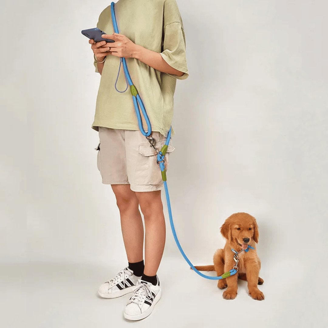 Hands-Free Dog Leash with Sturdy & Reflective Rope | Dog Leash for Running & Large Dogs 1