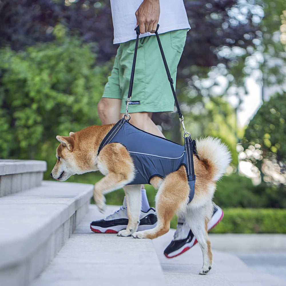 Dog Lift Harness for Injured & Senior Dogs with Arthritis | Adjustable Full Body Dog Support Sling for Rehab 6
