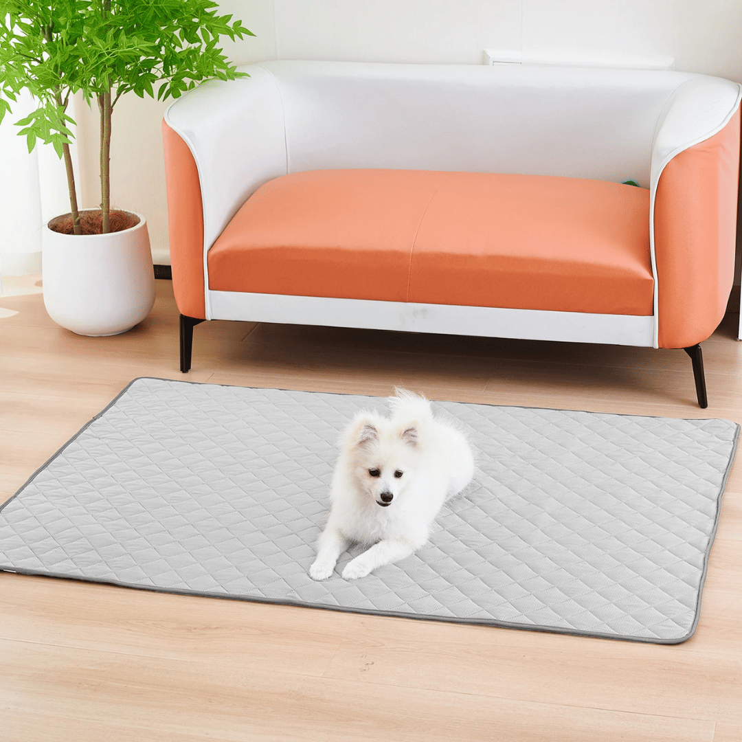 Dog Calming Mat for Cool Pets on Sofas, Floors & Pet Beds | Machine Washable 8
