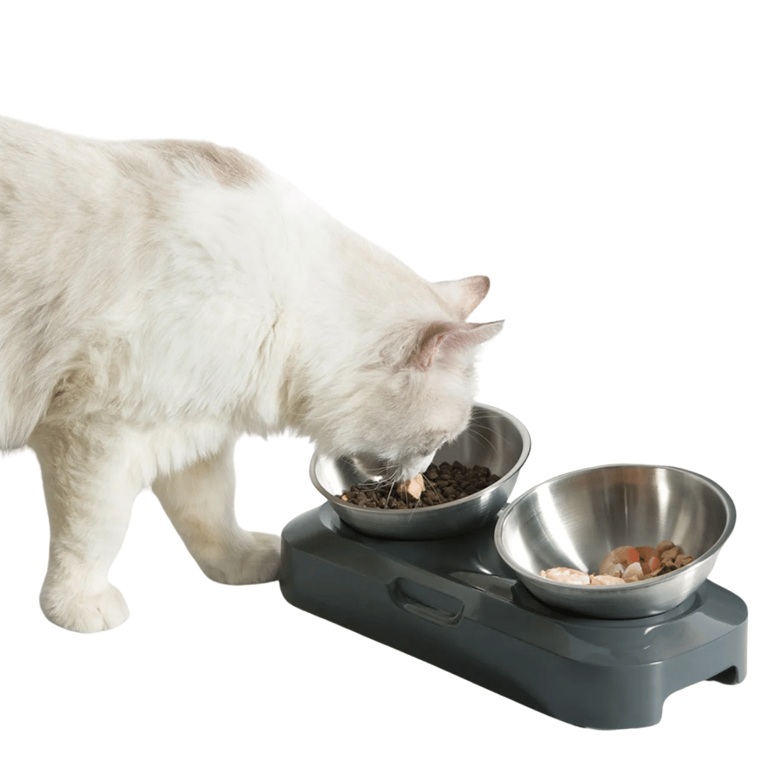 Raised & Tilted Cat & Puppy Feeding Station with Single or Double Stainless Steel Bowls 5
