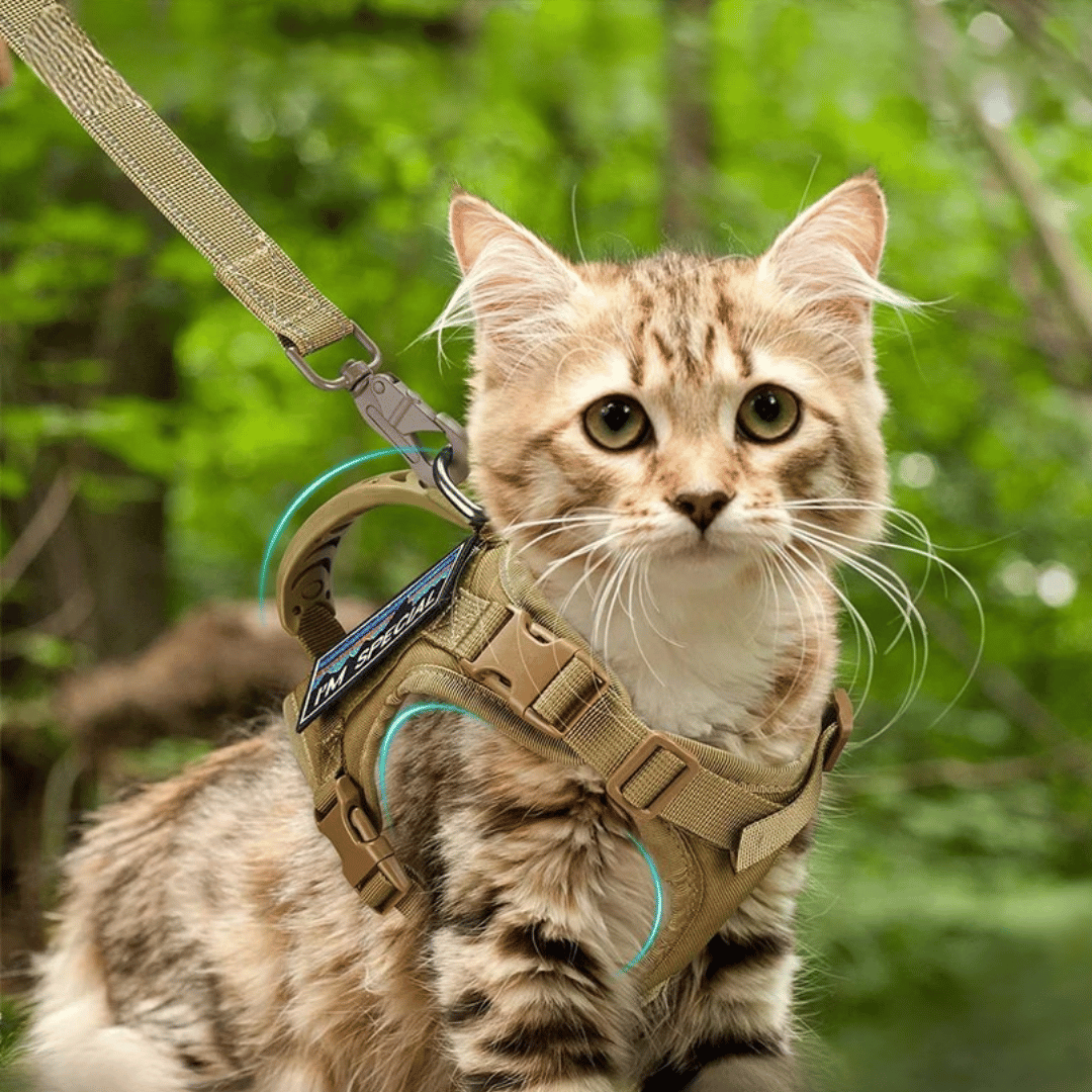 Military-Style Tactical Cat Harness & Leash 2