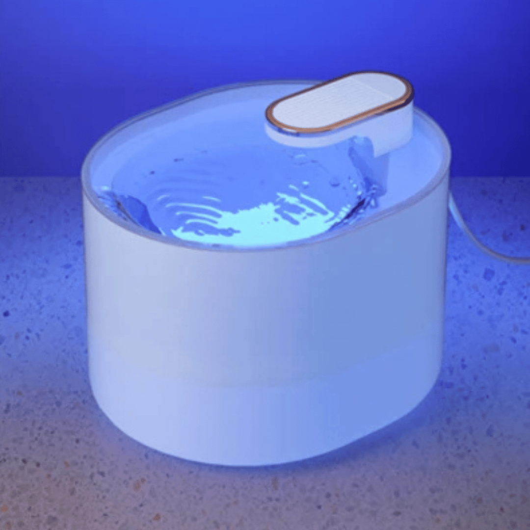 Automatic Cat Water Fountain with Silent Motion Sensor & LED Light | USB Rechargeable 5
