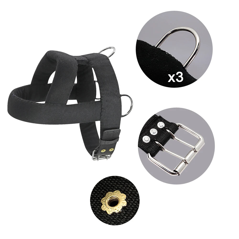 Heavy-Duty Dog Weight Pulling Harness with Padded Comfort for Strength Training 10