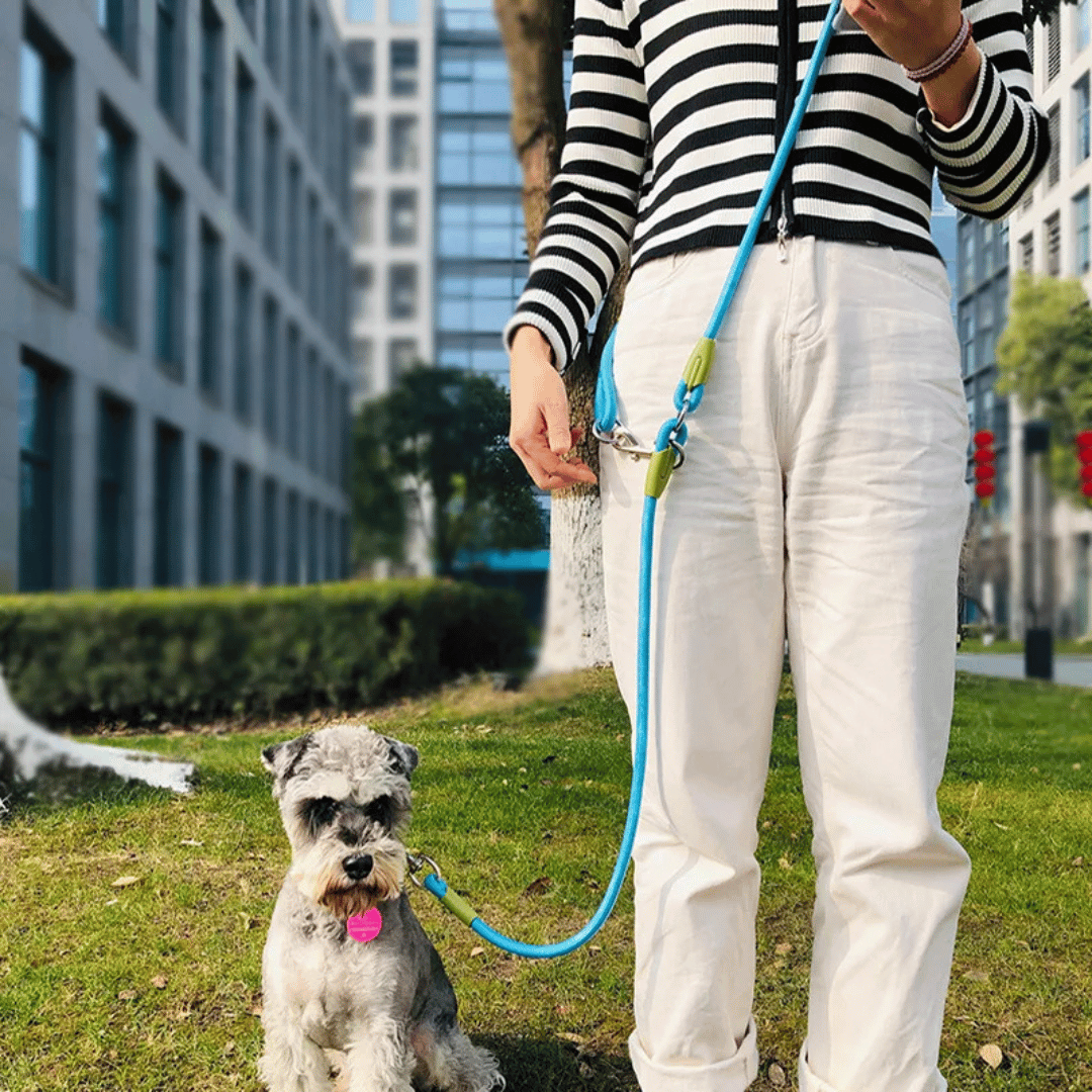 Hands-Free Dog Leash with Sturdy & Reflective Rope | Dog Leash for Running & Large Dogs 11
