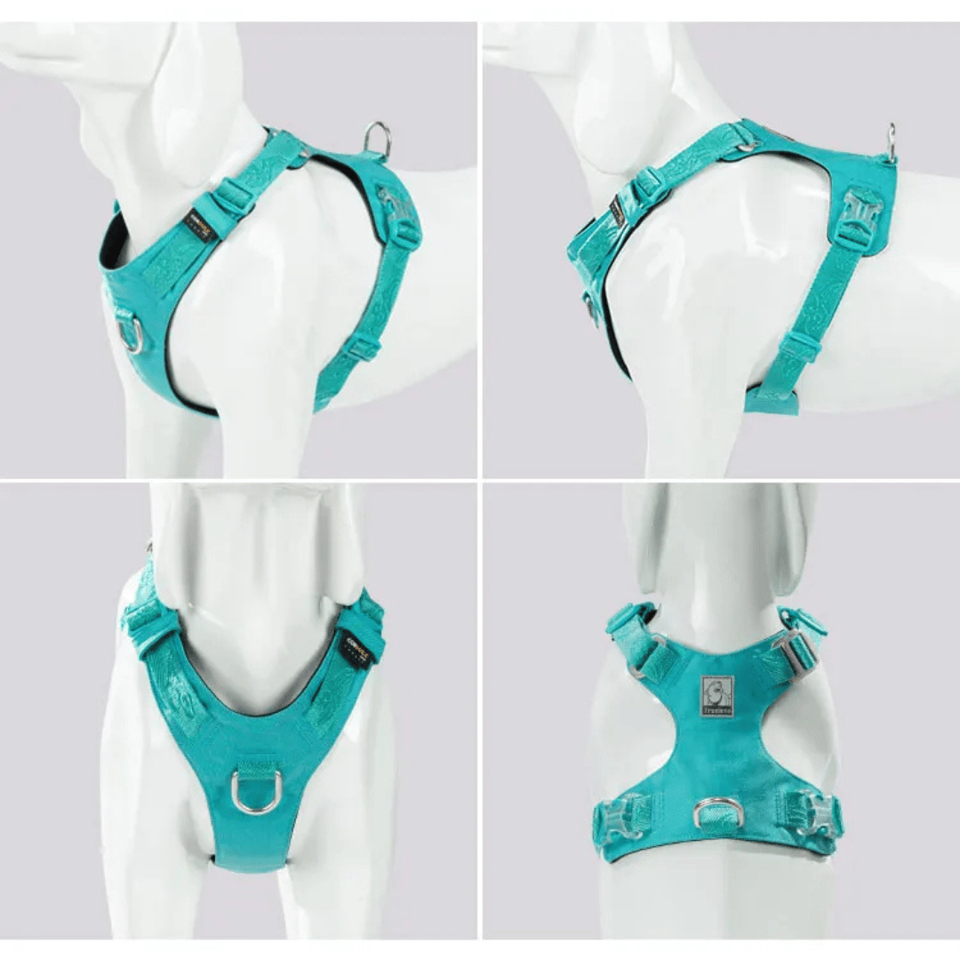 Lightweight & Waterproof Tactical Dog Harness 11