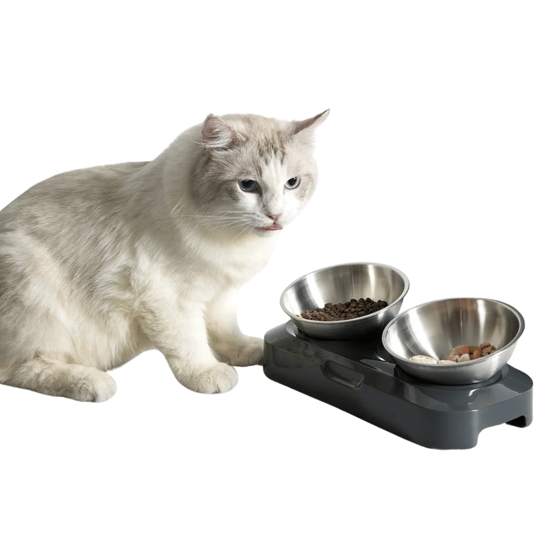 Raised & Tilted Cat & Puppy Feeding Station with Single or Double Stainless Steel Bowls 3
