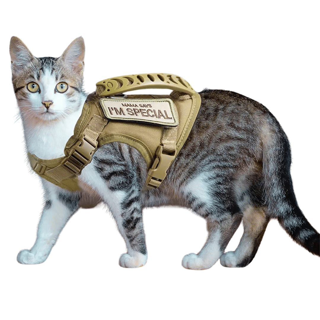 Military-Style Tactical Cat Harness & Leash 4