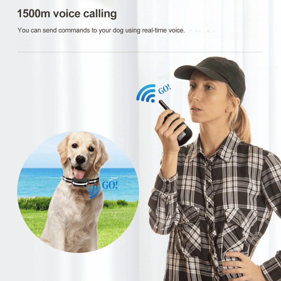 1500m Walkie-Talkie Dog Training Collar for Voice Intercom Control 4