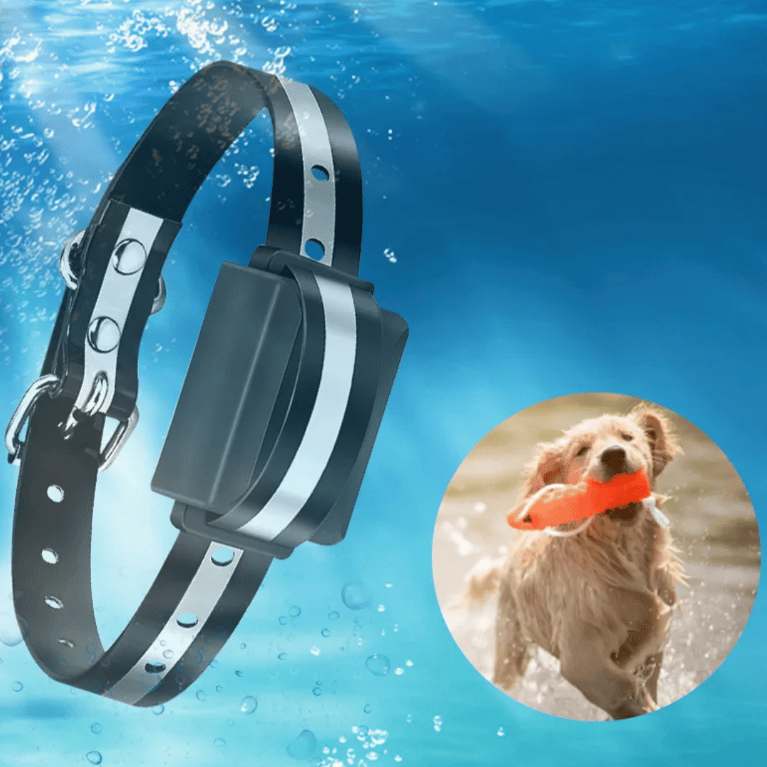 1500m Walkie-Talkie Dog Training Collar for Voice Intercom Control 5