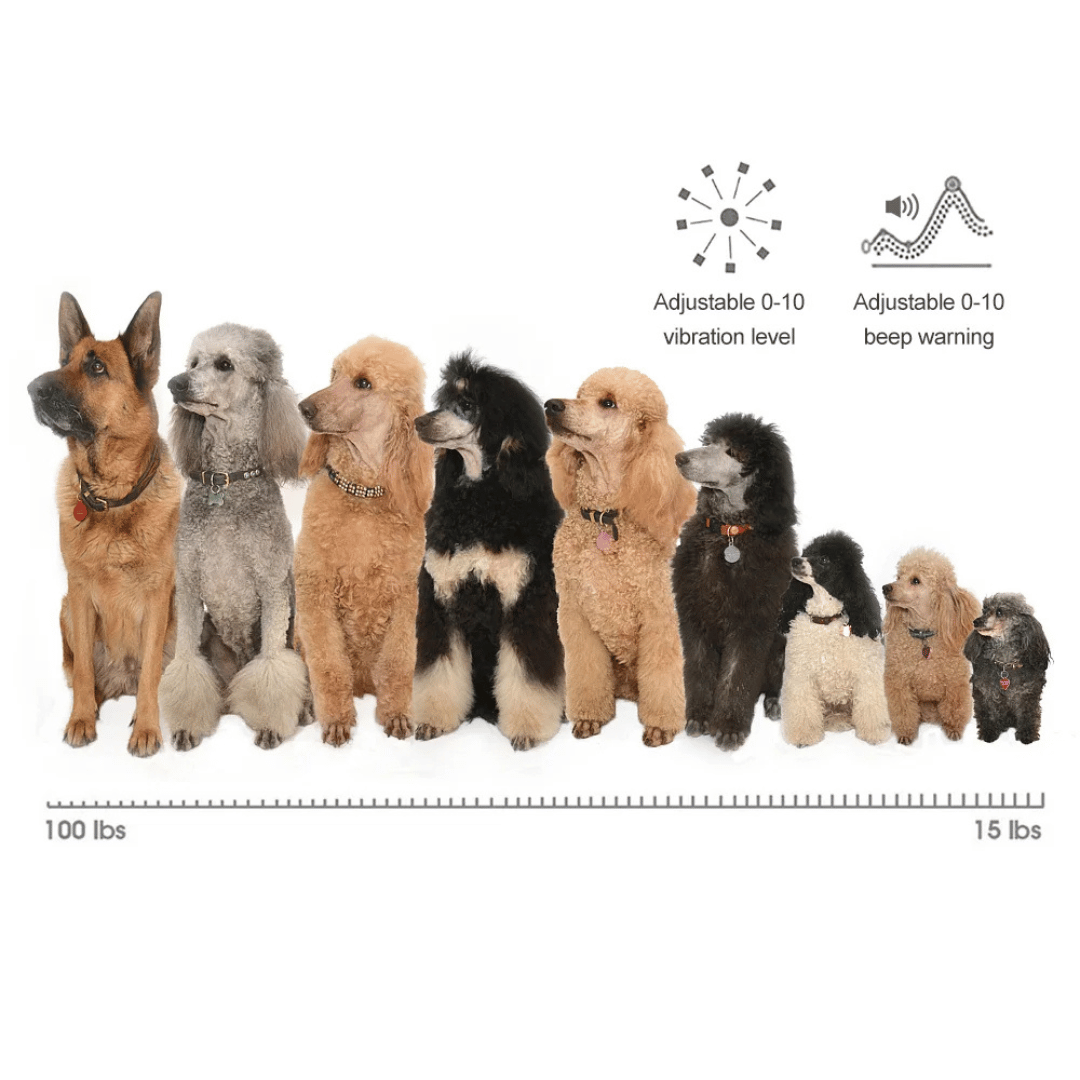 1500m Walkie-Talkie Dog Training Collar for Voice Intercom Control 8