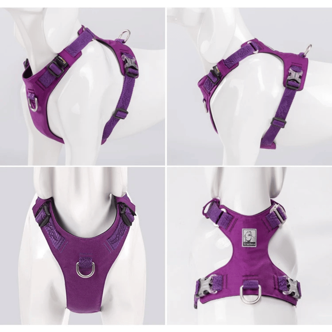 Lightweight & Waterproof Tactical Dog Harness 10