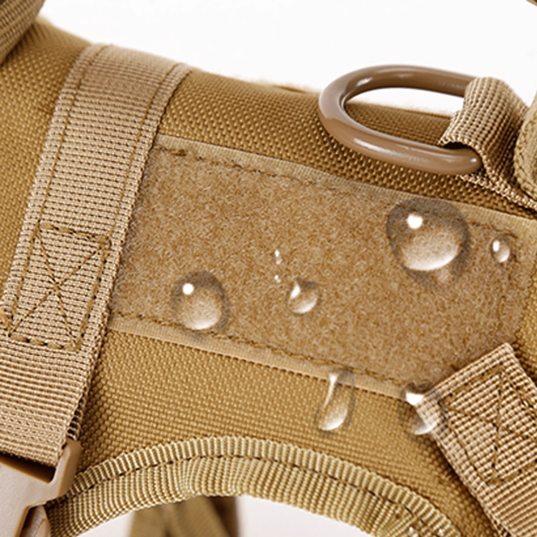 Military-Style Tactical Cat Harness & Leash 20