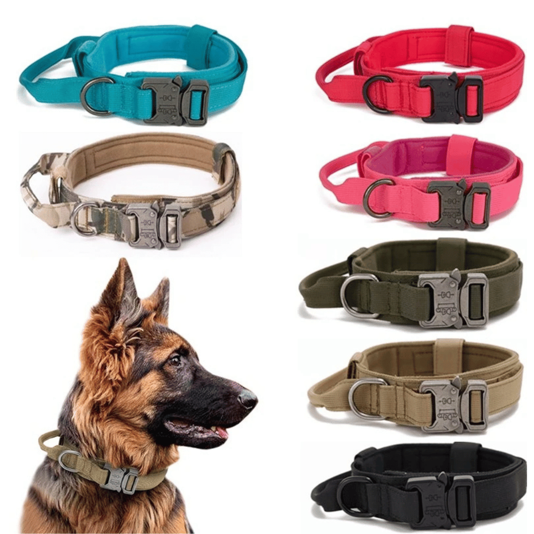 Heavy Duty Military-Style Tactical Dog Collar 26