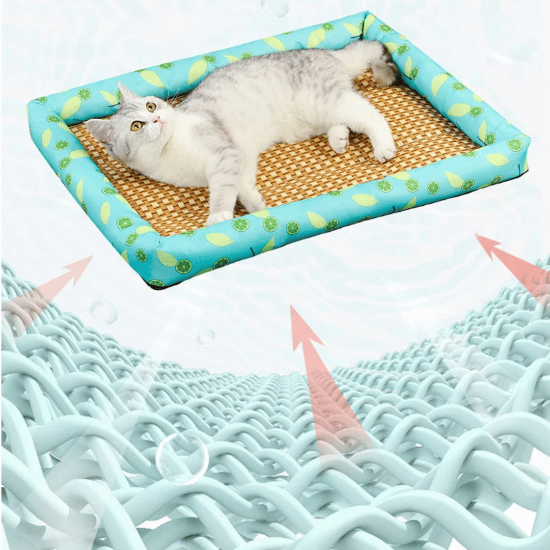 Cool-Feel Rattan Base Pet Bed for Dogs & Cats | Natural & Breathable Wicker Pet Pad 11