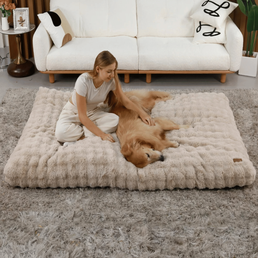 Cloud Comfort Giant & XXL Dog Bed Pillow with Ultra Soft Plush & Washable Cover