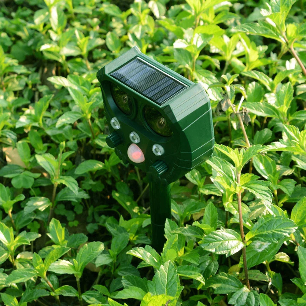 Solar-Powered Ultrasonic Animal Deterrent to Repel Birds, Rodents & Unwanted Cats From Your Garden 10
