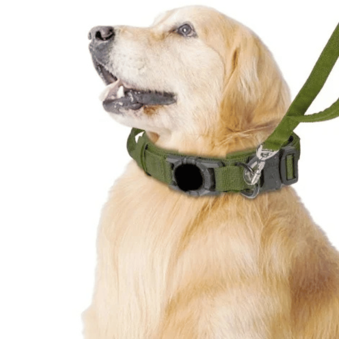 Heavy Duty Military-Style AirTag Holder Dog Collar & Leash | Tactical Air Tag Holder Dog Collar & Lead 4