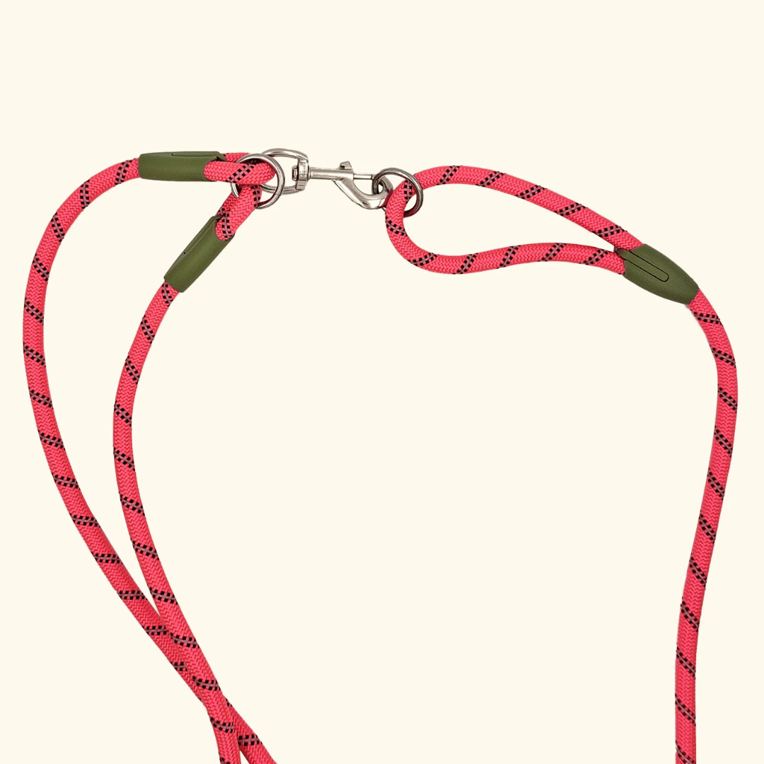 Hands-Free Dog Leash with Sturdy & Reflective Rope | Dog Leash for Running & Large Dogs 13