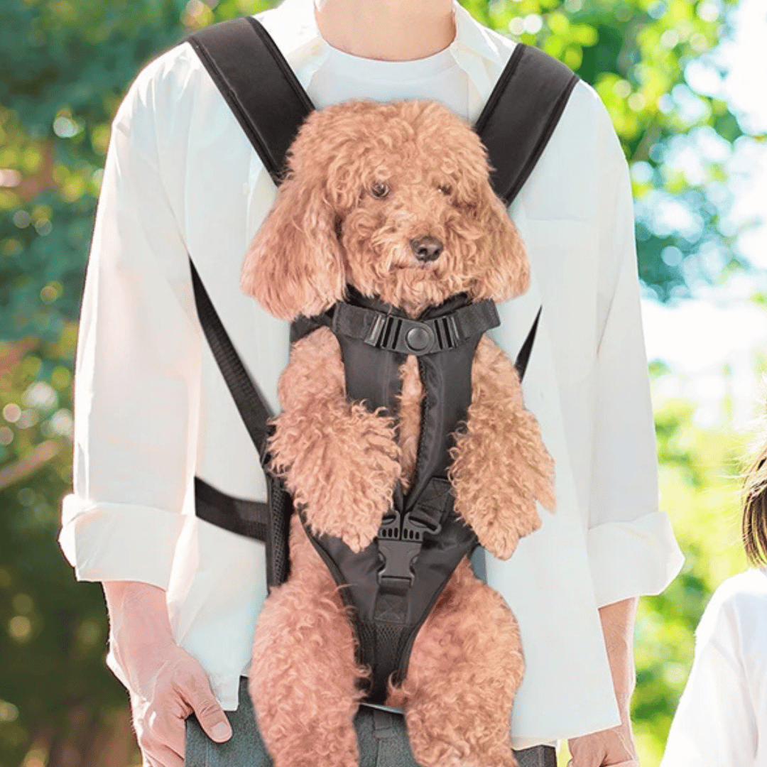 Secure & Comfy Dog Carrier Backpack | Breathable & Fully Adjustable Pet Backpack 27