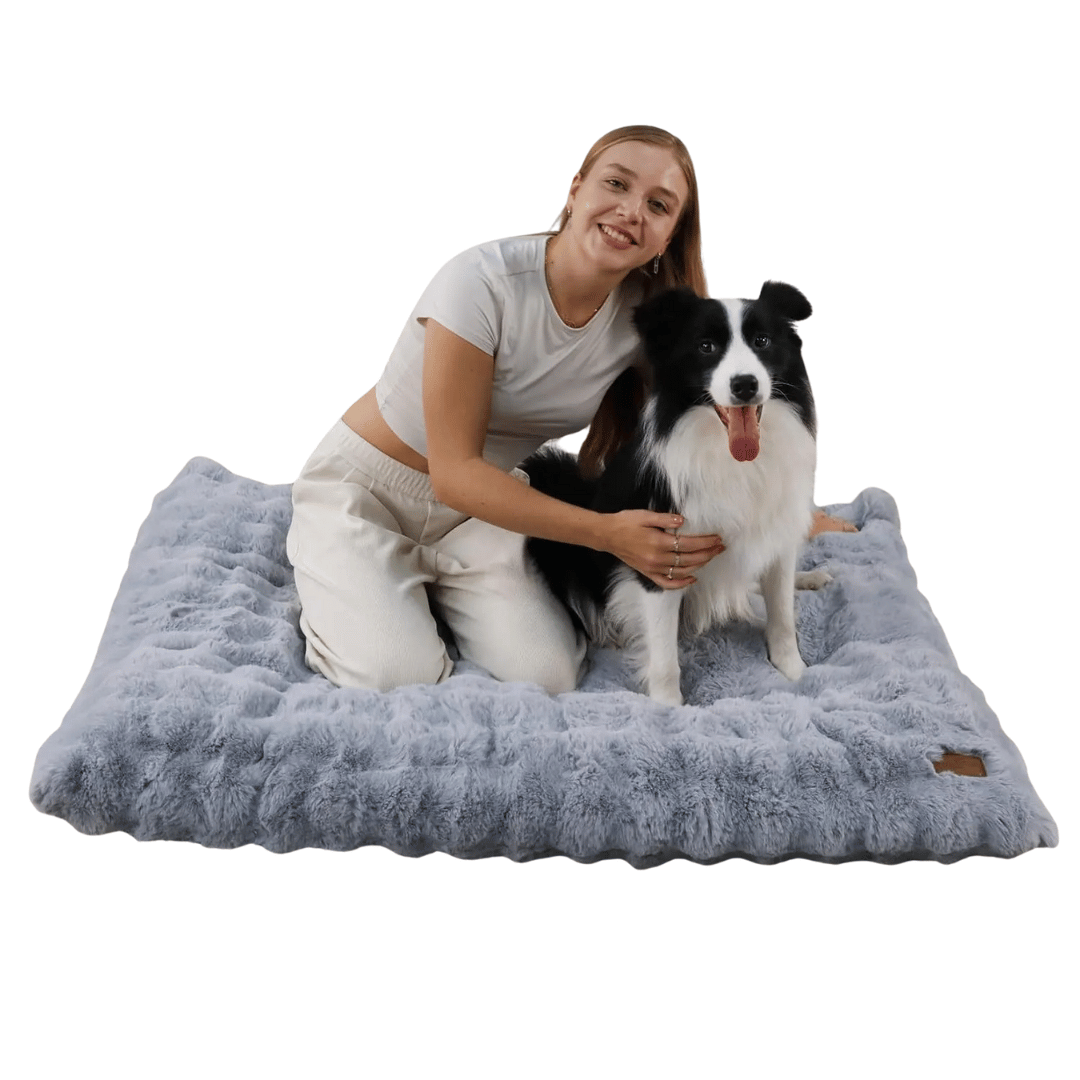 Cloud Comfort Giant & XXL Dog Bed Pillow with Ultra Soft Plush & Washable Cover