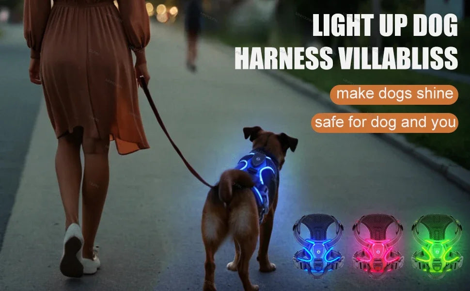 Bright LED Dog Harness for Safe Walking At Night | USB Rechargeable 12