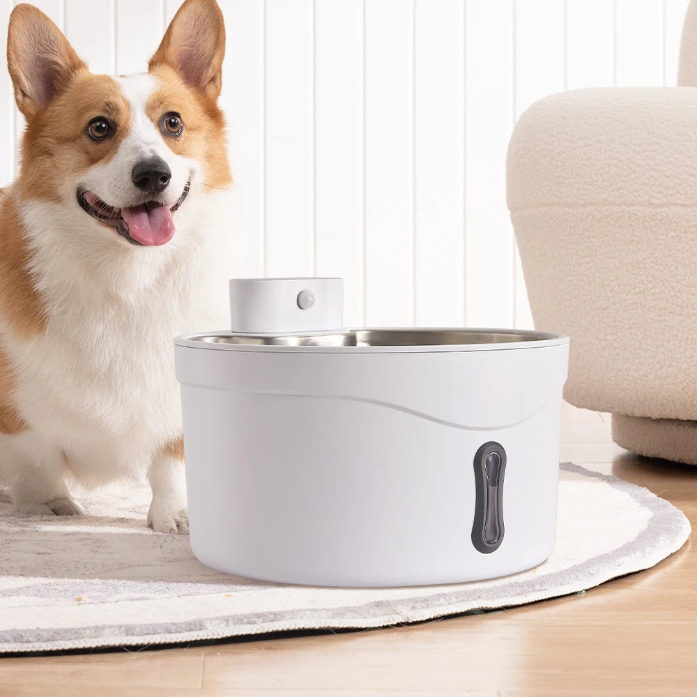 Pet Water Fountain for Fresh Flowing Water for Cats & Dogs | Plug-In & USB Rechargeable 1