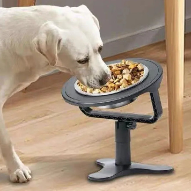 Adjustable Tilt & Height Raised Pet Bowl Stand with Stainless Steel Food Bowl 2