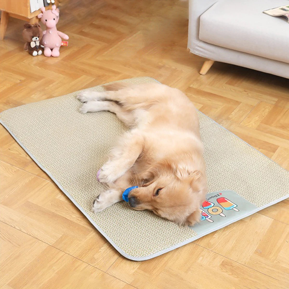 Natural Rattan Dog Mat with Cool-Feel & Non-Slip Base 1