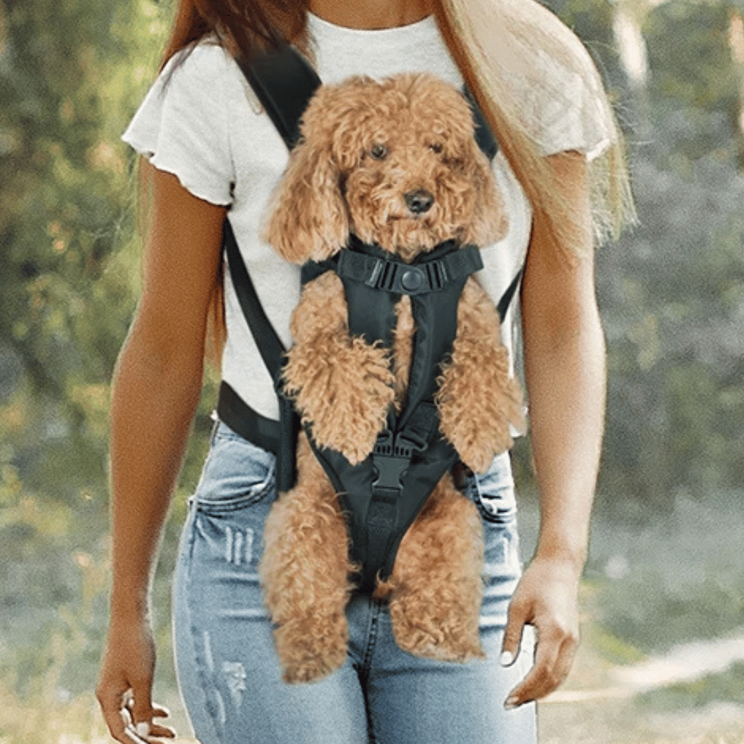 Secure & Comfy Dog Carrier Backpack | Breathable & Fully Adjustable Pet Backpack 26
