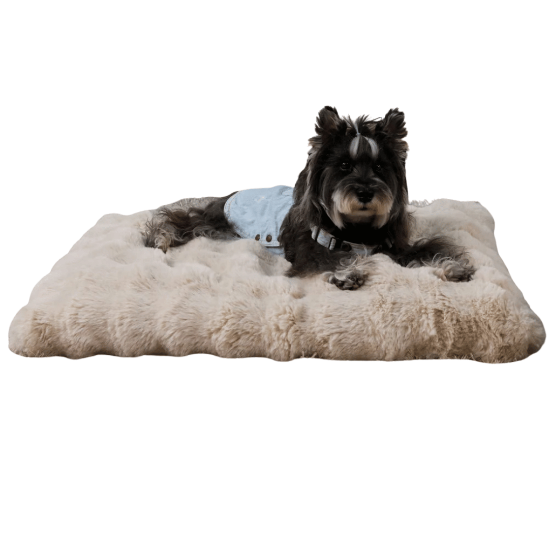 Cloud Comfort Giant & XXL Dog Bed Pillow with Ultra Soft Plush & Washable Cover